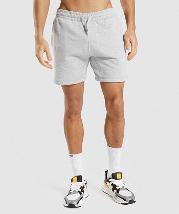 Pánské Šortky Gymshark Crest Světle Šedé | CZ 2833OKI
